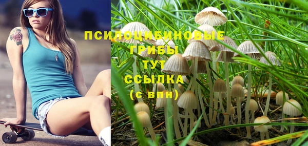 герыч Бугульма