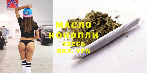 Альфа ПВП Бородино
