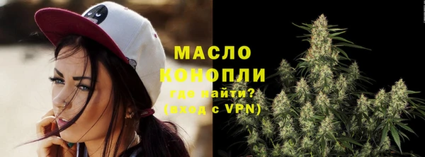 Альфа ПВП Бородино