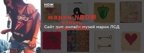 Альфа ПВП Бородино